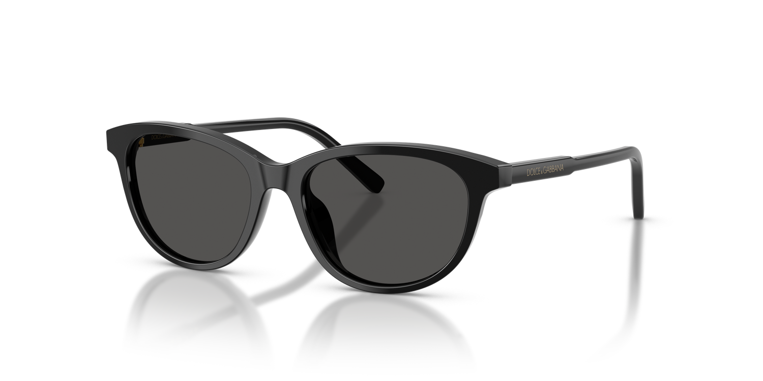 DOLCE &amp; GABBANA DX4010 501/87 48