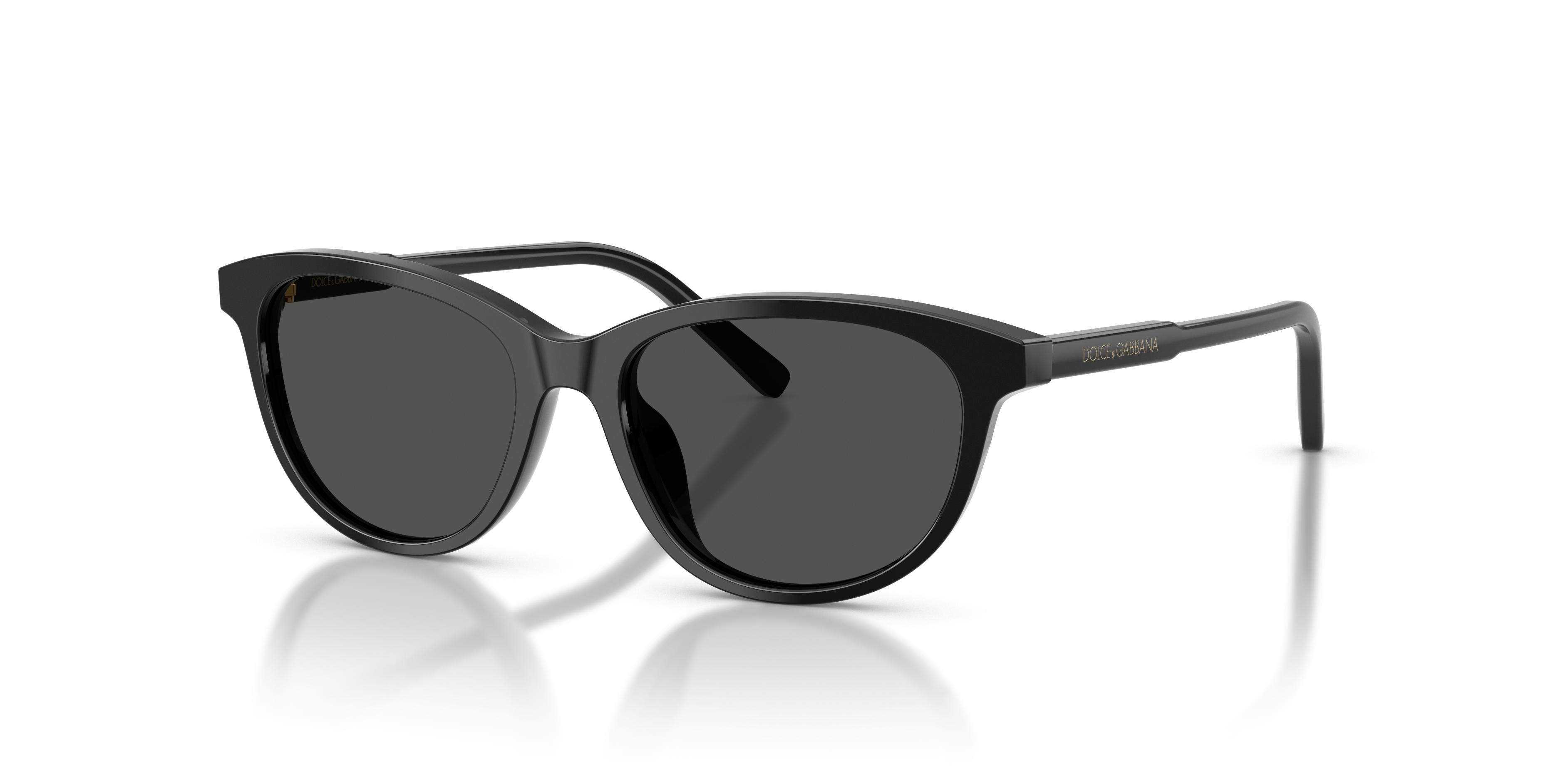 DOLCE &amp; GABBANA DX4010 501/87 48