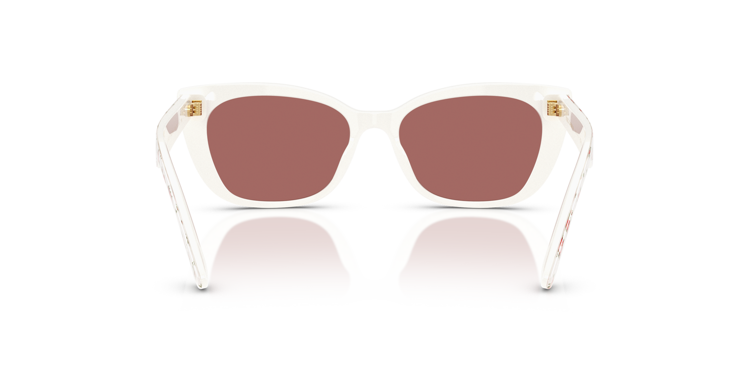 DOLCE &amp; GABBANA DX4427 348769 49