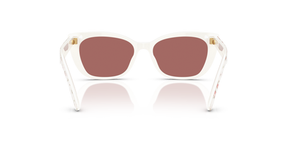 DOLCE &amp; GABBANA DX4427 348769 49