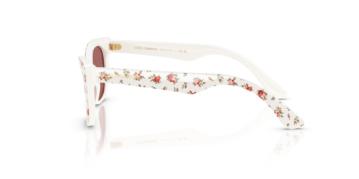 DOLCE &amp; GABBANA DX4427 348769 49