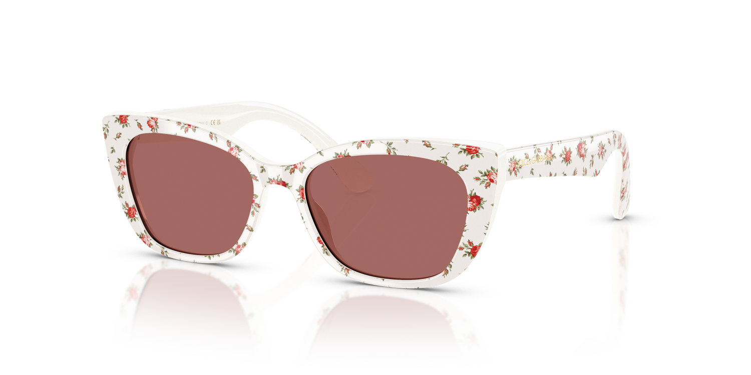 DOLCE &amp; GABBANA DX4427 348769 49