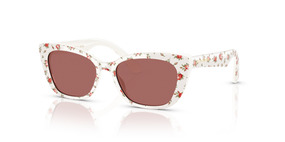 DOLCE &amp; GABBANA DX4427 348769 49