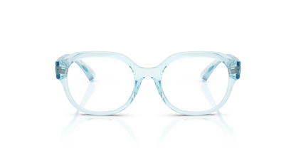 DOLCE &amp; GABBANA DX5004U 3346 48