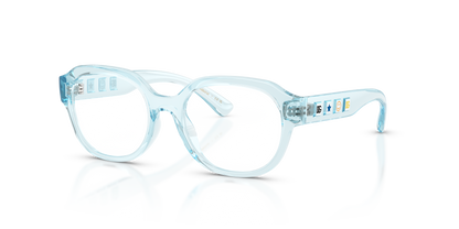 DOLCE &amp; GABBANA DX5004U 3346 48