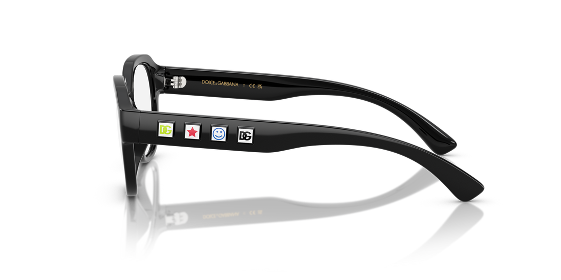 DOLCE & GABBANA DX5004U 501 48
