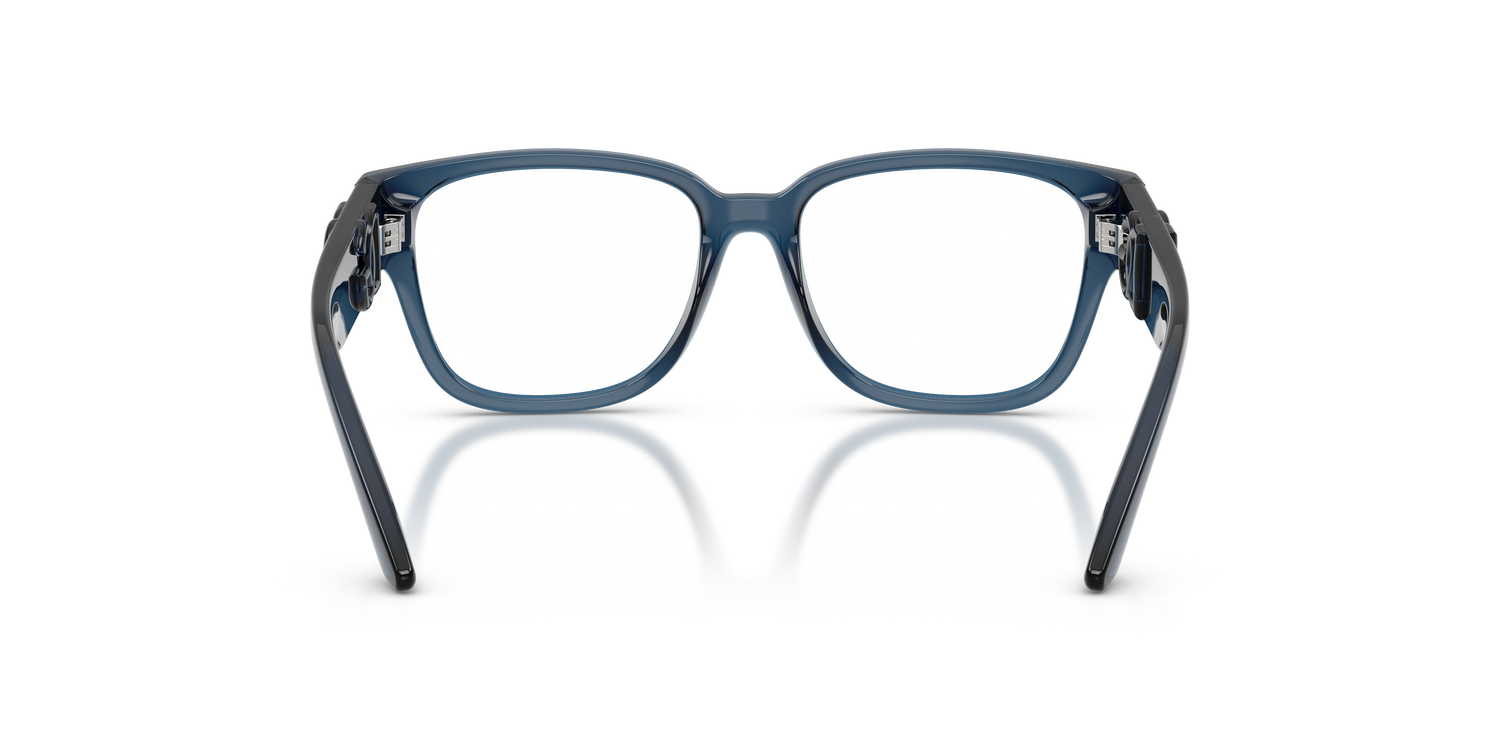 DOLCE &amp; GABBANA DX5006 3009 49