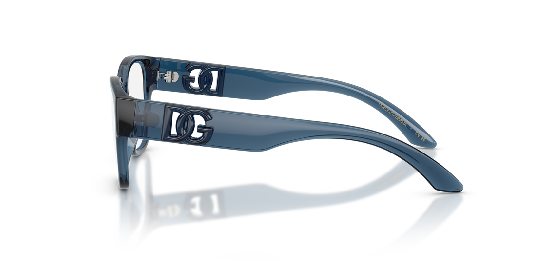 DOLCE & GABBANA DX5006 3009 49