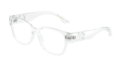 DOLCE &amp; GABBANA DX5006 3133 49