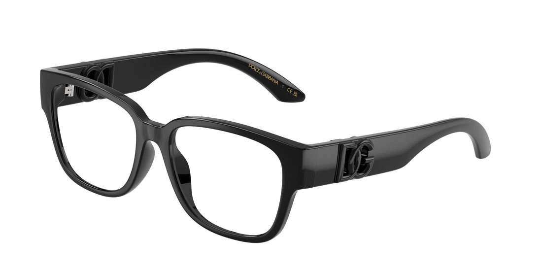 DOLCE &amp; GABBANA DX5006 501 49