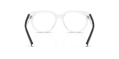 DOLCE &amp; GABBANA DX5007 3133 49