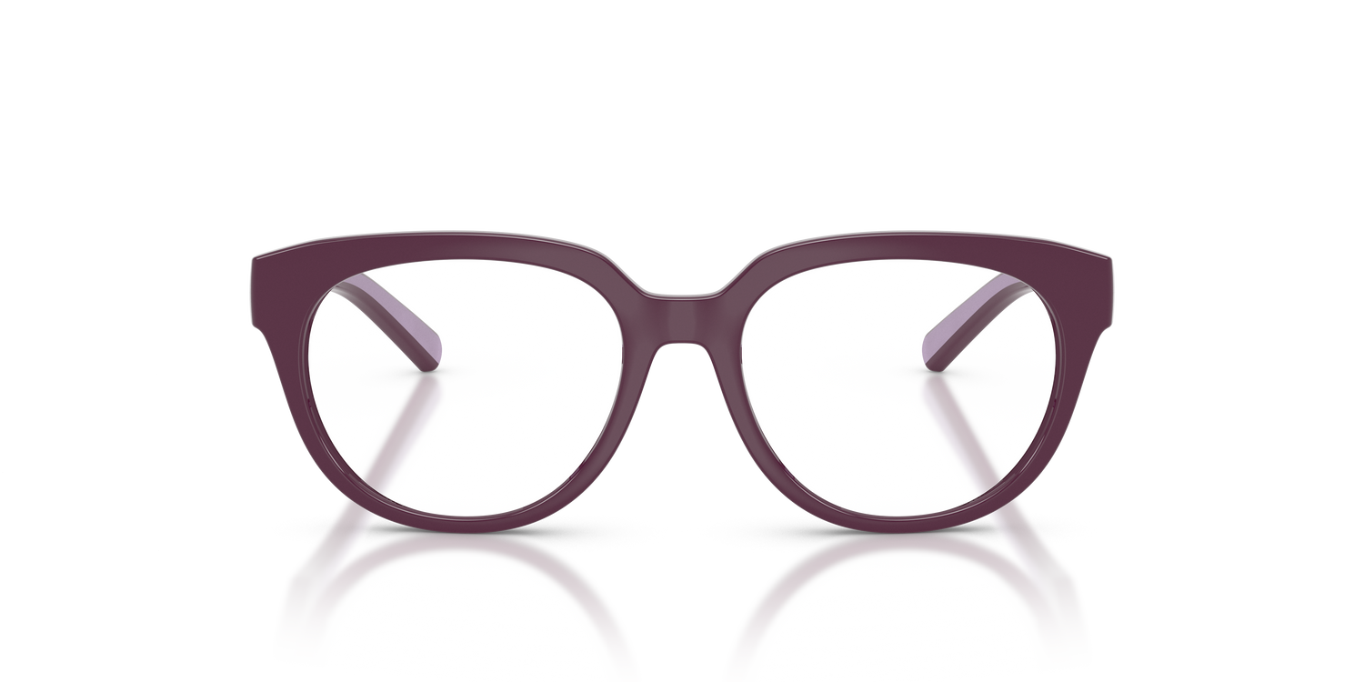 DOLCE &amp; GABBANA DX5007 3360 49