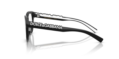 DOLCE &amp; GABBANA DX5007 501 49