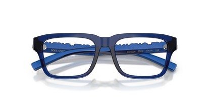 DOLCE &amp; GABBANA DX5008 3009 49