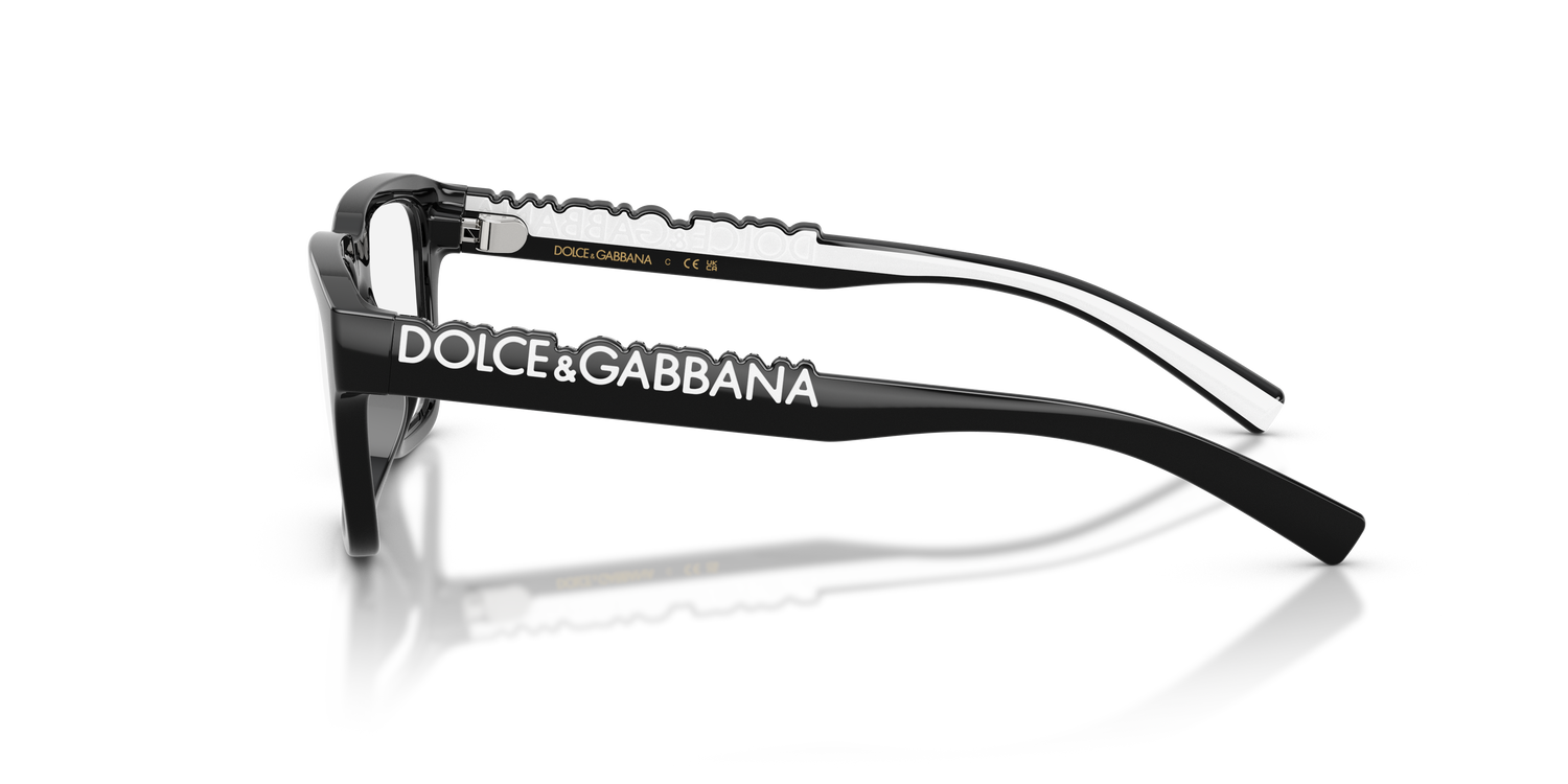 DOLCE &amp; GABBANA DX5008 501 49
