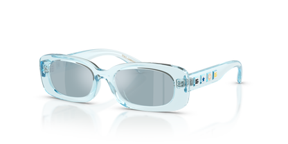 DOLCE &amp; GABBANA DX6006U 33466J 46