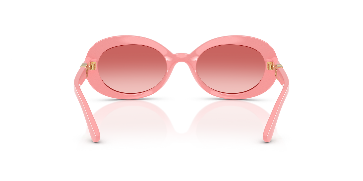 DOLCE &amp; GABBANA DX6007U 30982B 49