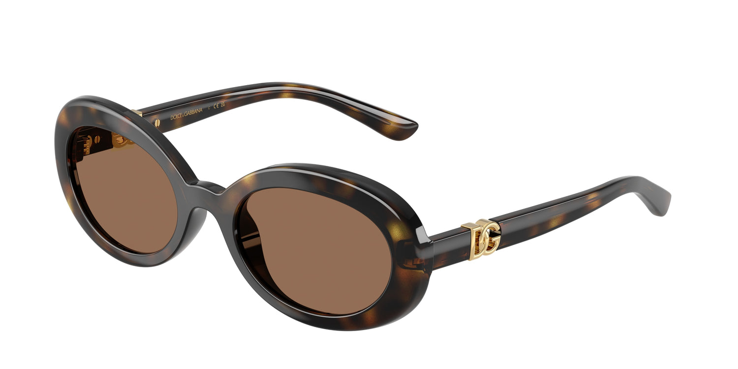 DOLCE &amp; GABBANA DX6007U 502/73 49