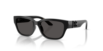 DOLCE &amp; GABBANA DX6009 501/87 50