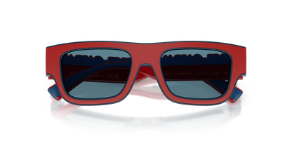 DOLCE &amp; GABBANA DX6011 346680 47