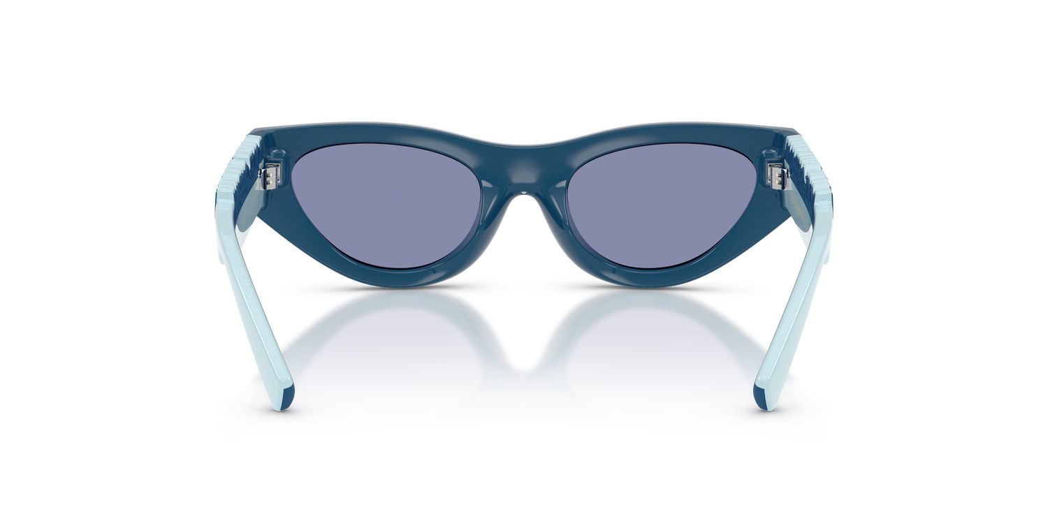 DOLCE &amp; GABBANA DX6012 30151U 47