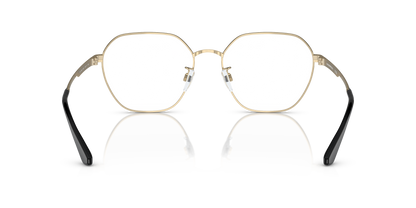 EMPORIO ARMANI EA1145D 3014 55