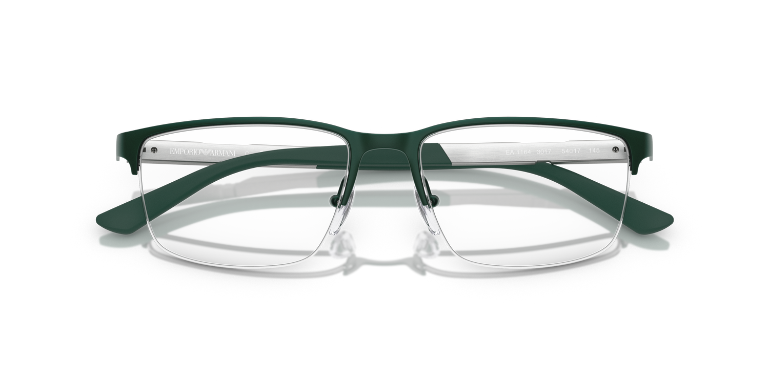 EMPORIO ARMANI EA1164 3017 54