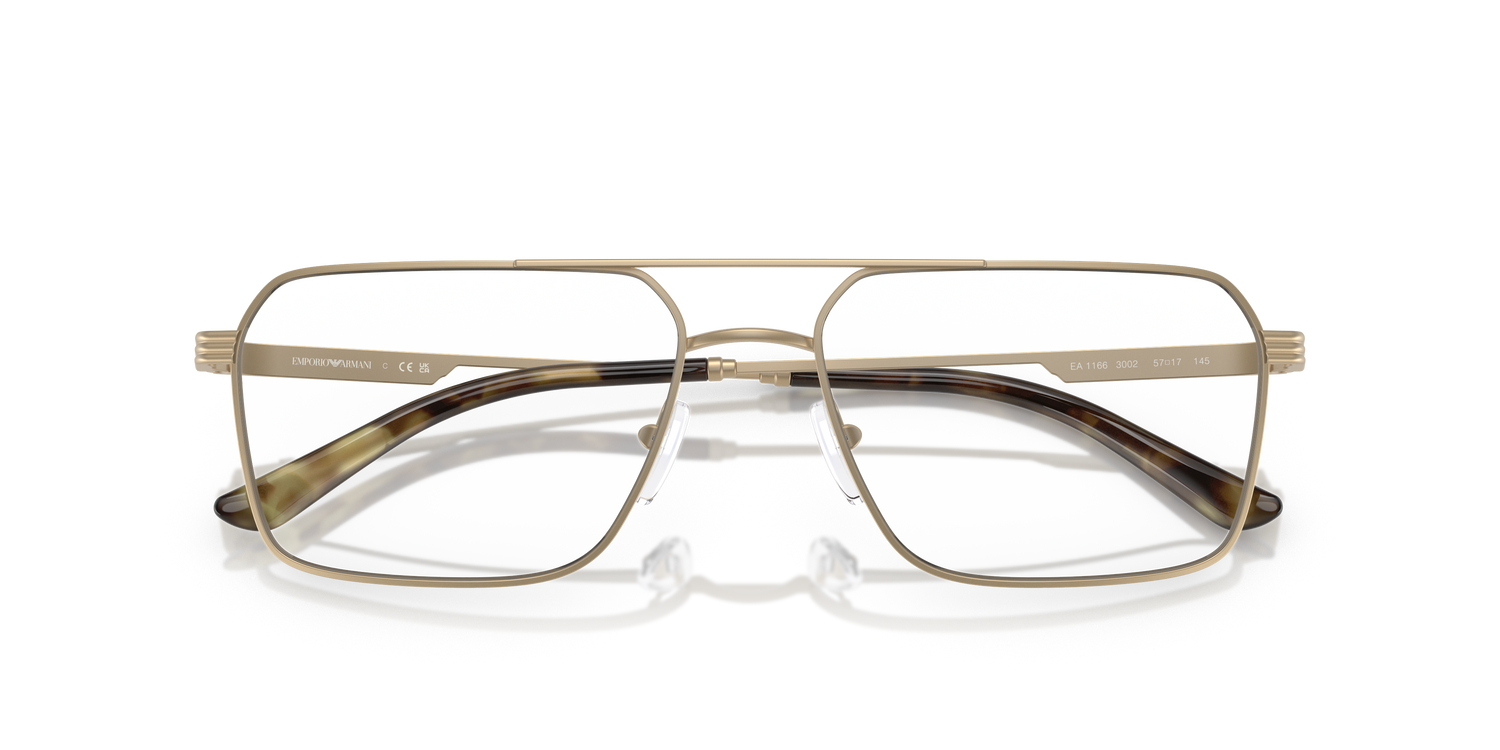 EMPORIO ARMANI EA1166 3002 57