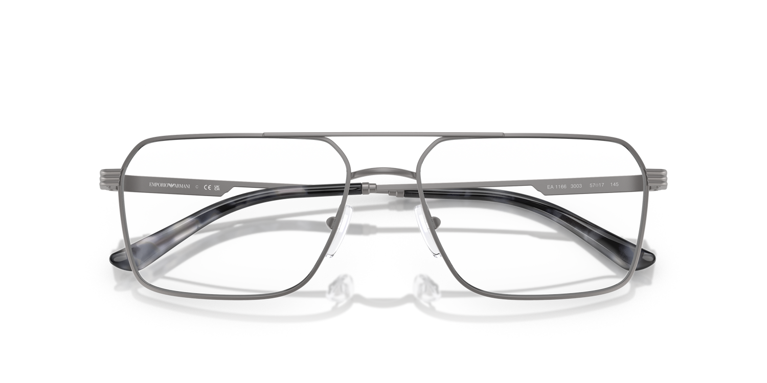 EMPORIO ARMANI EA1166 3003 55