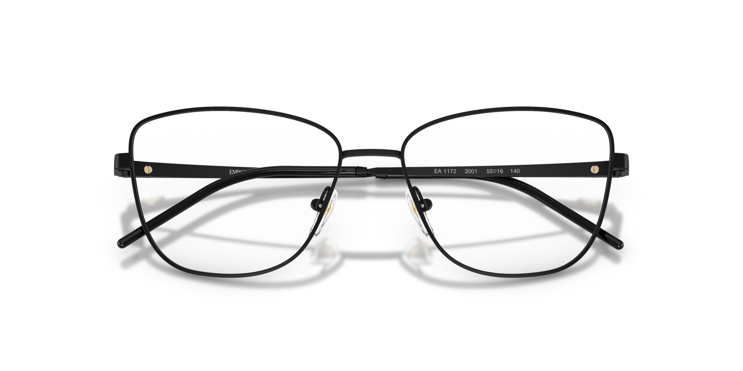 EMPORIO ARMANI EA1172 3001 53