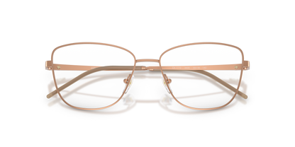 EMPORIO ARMANI EA1172 3400 53