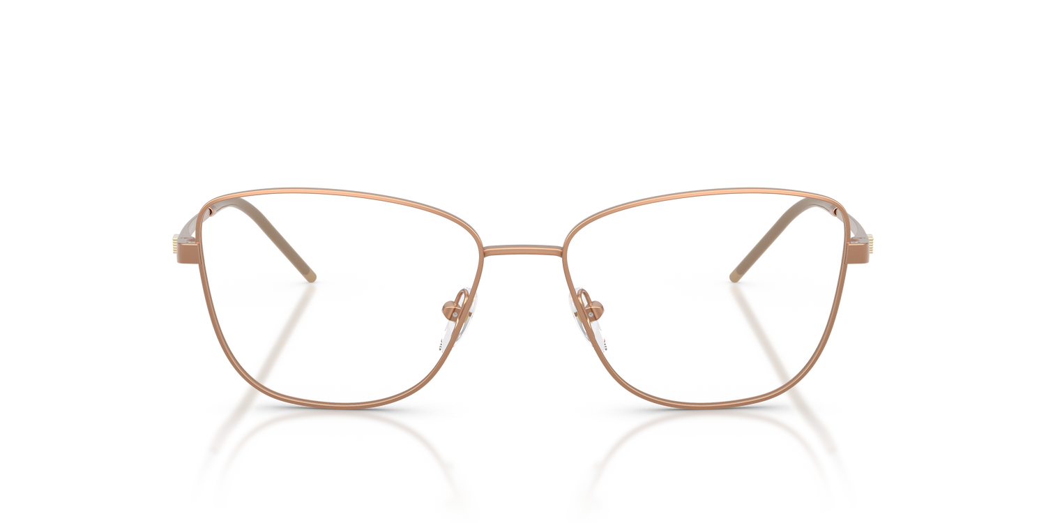 EMPORIO ARMANI EA1172 3400 53
