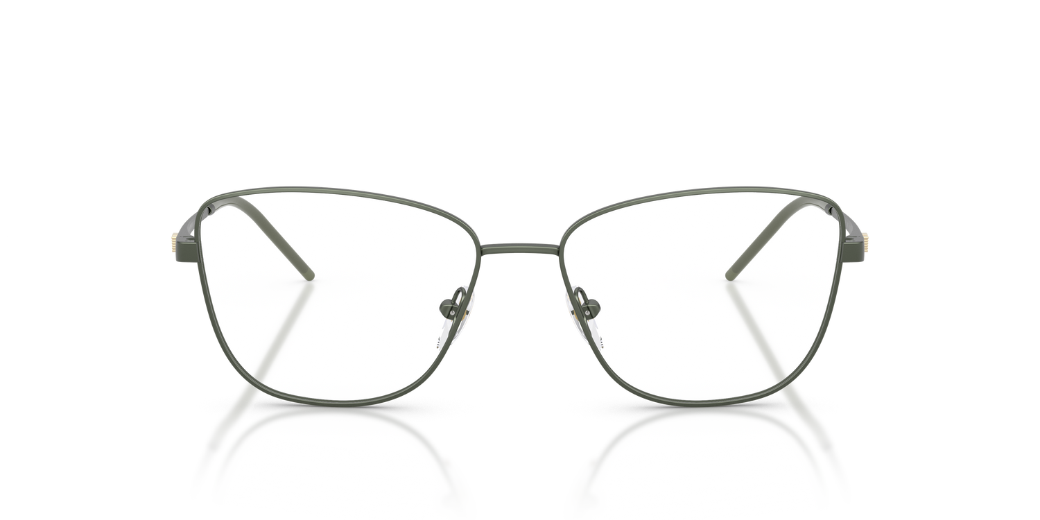 EMPORIO ARMANI EA1172 3402 55