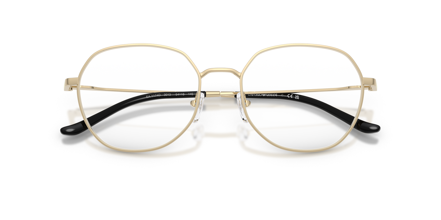 EMPORIO ARMANI EA1174D 3013 54