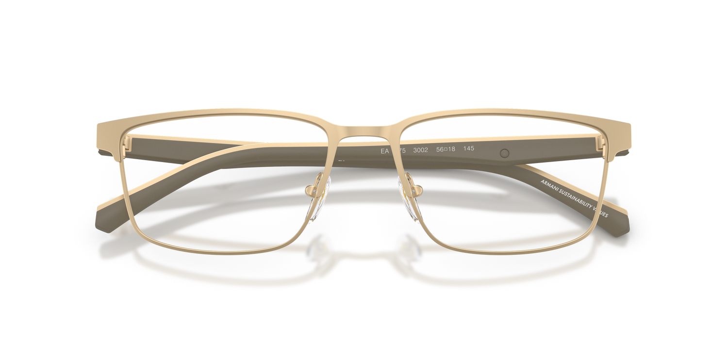 EMPORIO ARMANI EA1175 3002 54