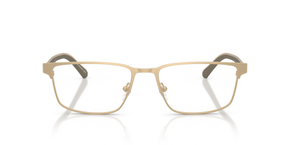 EMPORIO ARMANI EA1175 3002 54