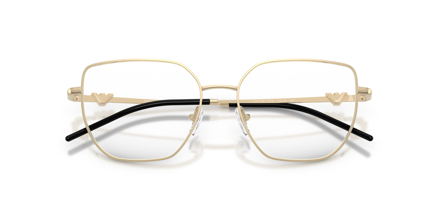 EMPORIO ARMANI EA1176 3013 53
