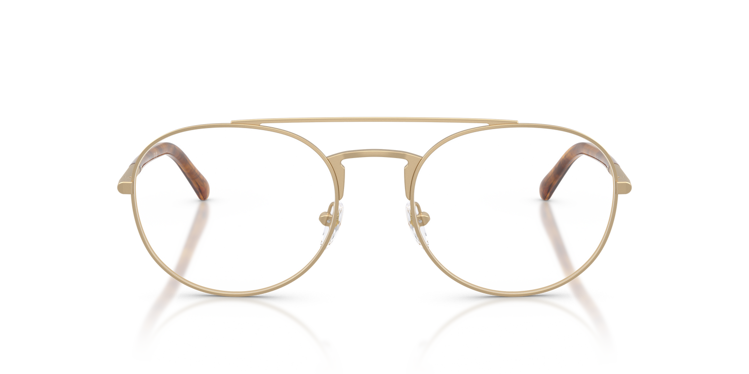 EMPORIO ARMANI EA1178 3002 55