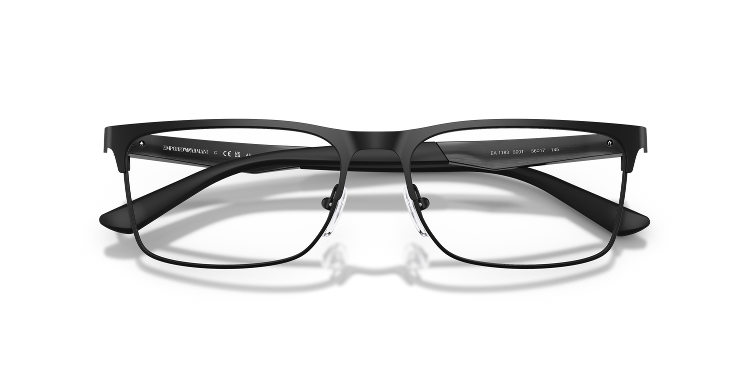 EMPORIO ARMANI EA1183 3001 56