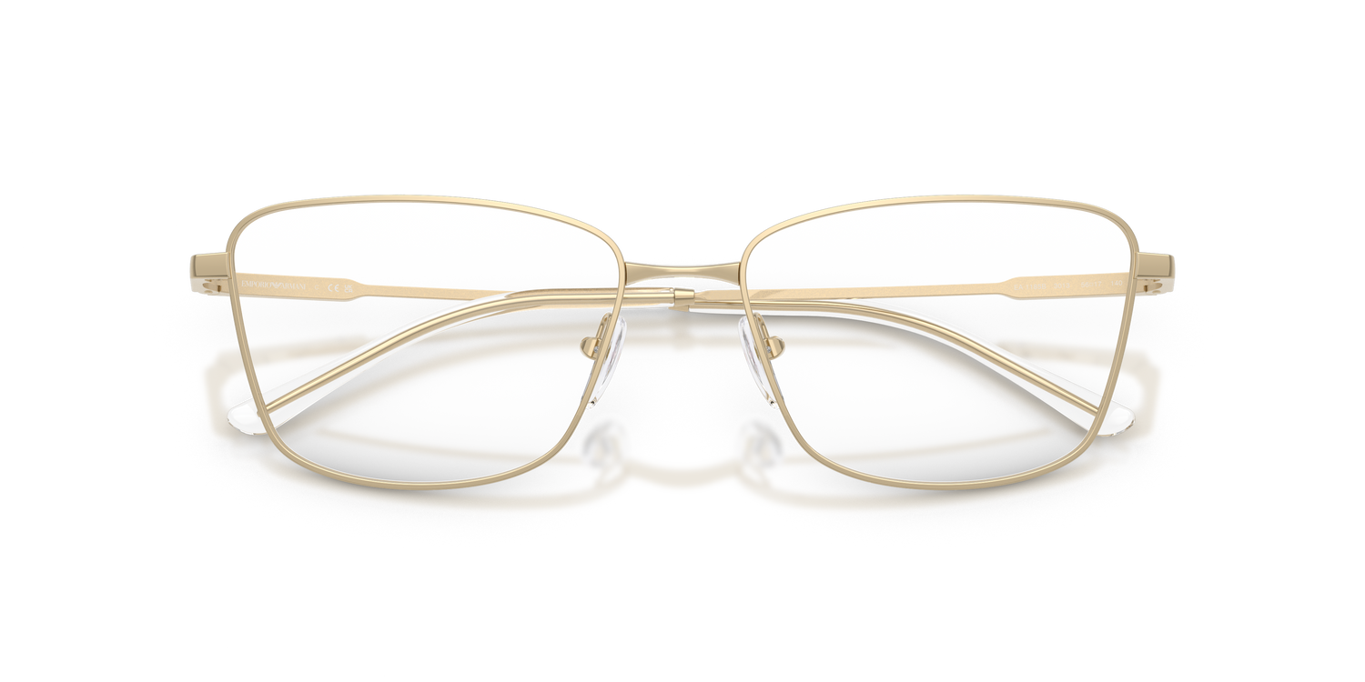 EMPORIO ARMANI EA1185B 3013 54