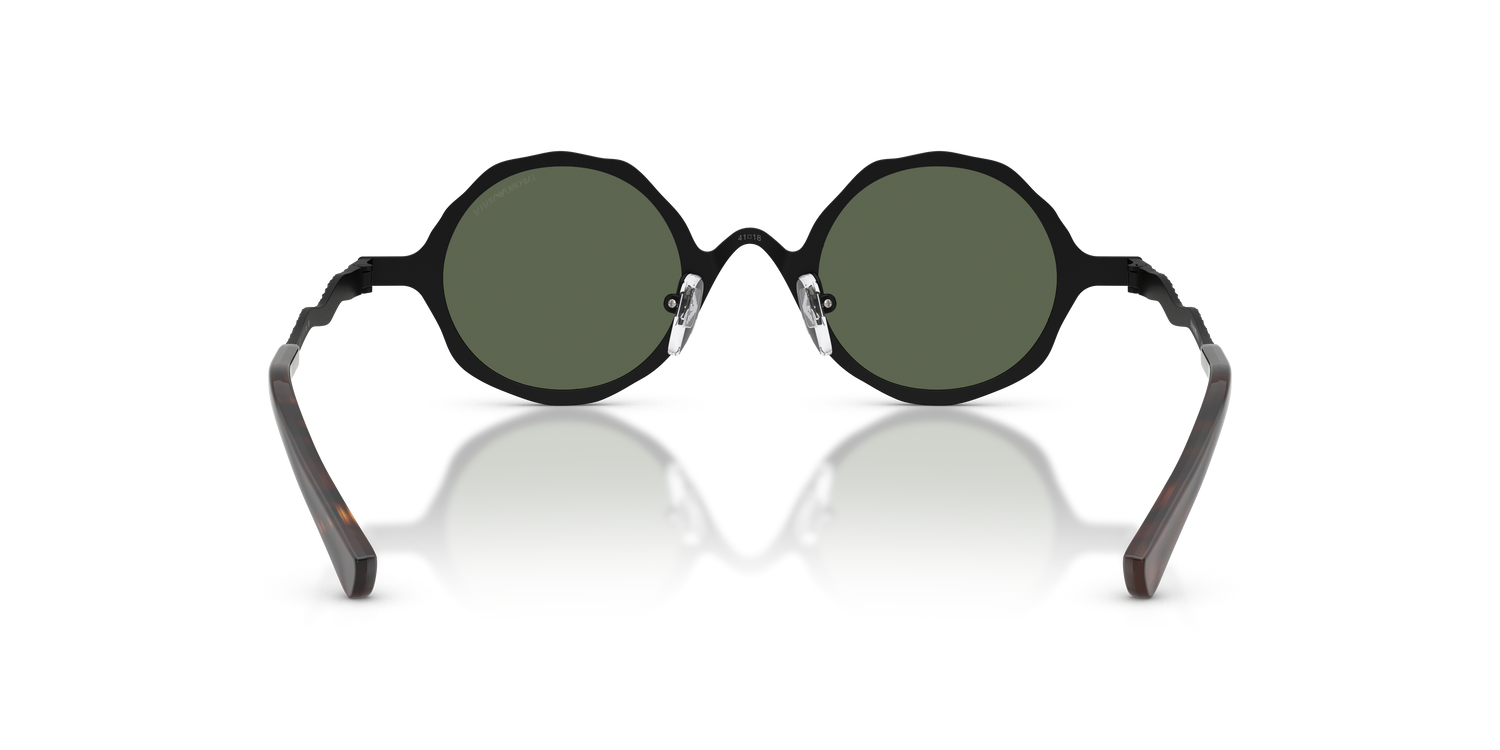 EMPORIO ARMANI EA2166 3001/2 41