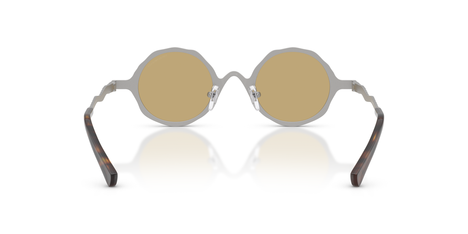 EMPORIO ARMANI EA2166 3015/2 41