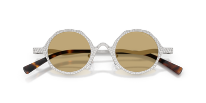 EMPORIO ARMANI EA2166 3015/2 41