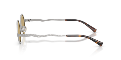 EMPORIO ARMANI EA2166 3015/2 41