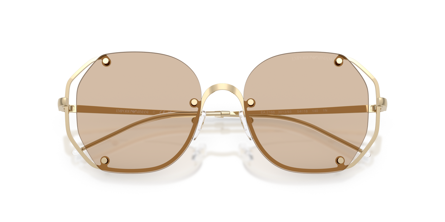 EMPORIO ARMANI EA2168 301393 54