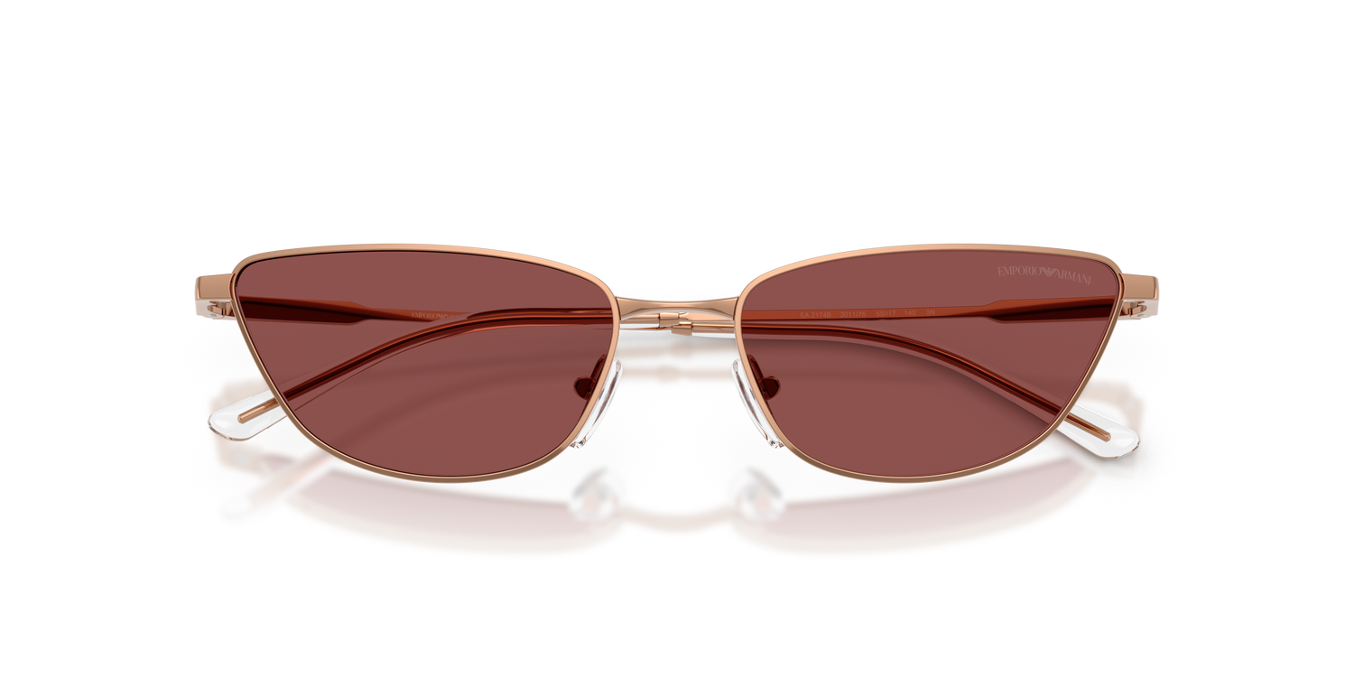 EMPORIO ARMANI EA2174B 301175 55