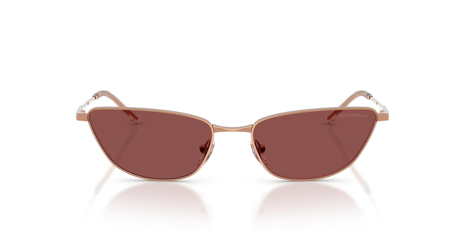 EMPORIO ARMANI EA2174B 301175 55