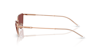 EMPORIO ARMANI EA2174B 301175 55