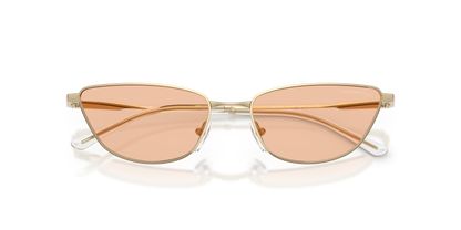 EMPORIO ARMANI EA2174B 301393 55