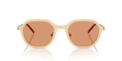 EMPORIO ARMANI EA2176 3002/7 51